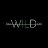 wild_amir1