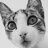 raulmo_91