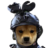 Brqxxy