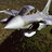 MikeReeves02