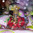 Kashish Aror