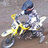 pingu_q1
