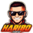 HAIBO