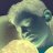 herhard