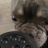 leeboo99