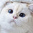 Sameer121352