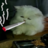 snezze