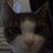 Arch-