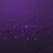 gray2077
