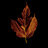asharaf