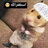 yousefhaytha