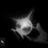 Triax_31