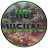 HDVisual