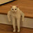 Akira_jake32