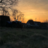 magnuselias6