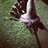 iammarch3
