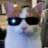 jegsgs