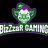 BizZzaRGaming