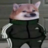 dewronyt