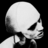 kokocinka331