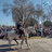 Cejass12