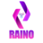 RAINO_Dev