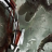 Thisdread1747