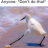 Gamer_dude191