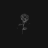 Birdy..-