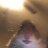 PixZi_