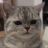 SquishyDiscord