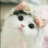 Fruizy12