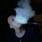 IWeedSuxX