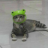 MelonSerut
