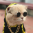 HobinSonToSun
