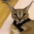 heckeer