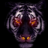 internetiger01