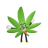 canabisdzayer