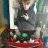 RyanA.22
