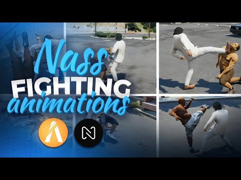 nass-fighting.jpg